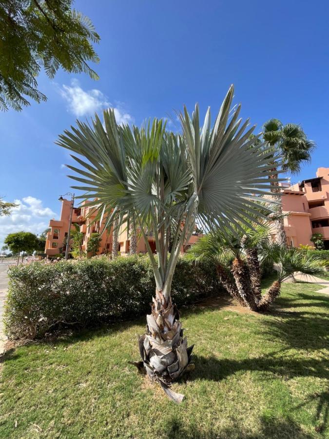 Spirit Of Mar Menor Apartment Torre-Pacheco Exterior foto